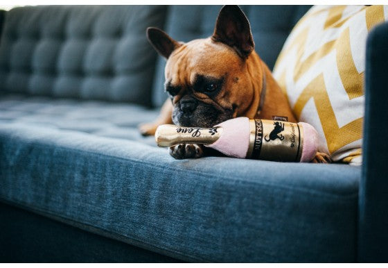 P.L.A.Y. Puppy Love Collection Dog Toy Barking Bubbly