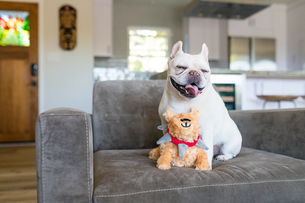 P.L.A.Y. SPIKED plush toy Biff the Dog Senior
