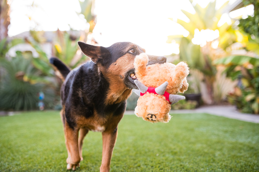 P.L.A.Y. SPIKED plush toy Biff the Dog Senior