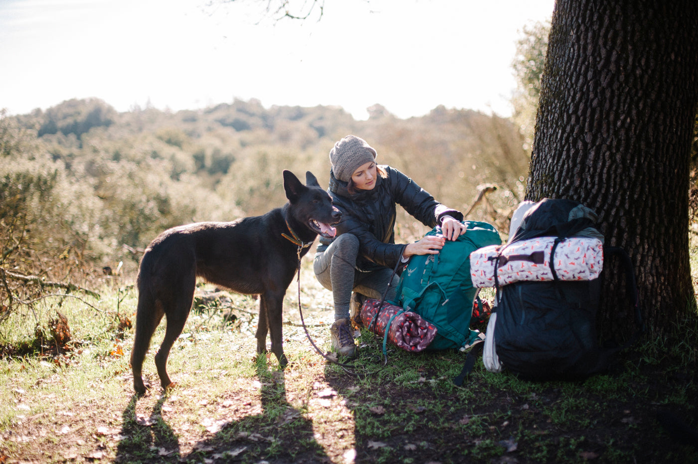 P.L.A.Y. Scout & About Outdoor Chill Pad Vanilla Mocha for Dogs 8