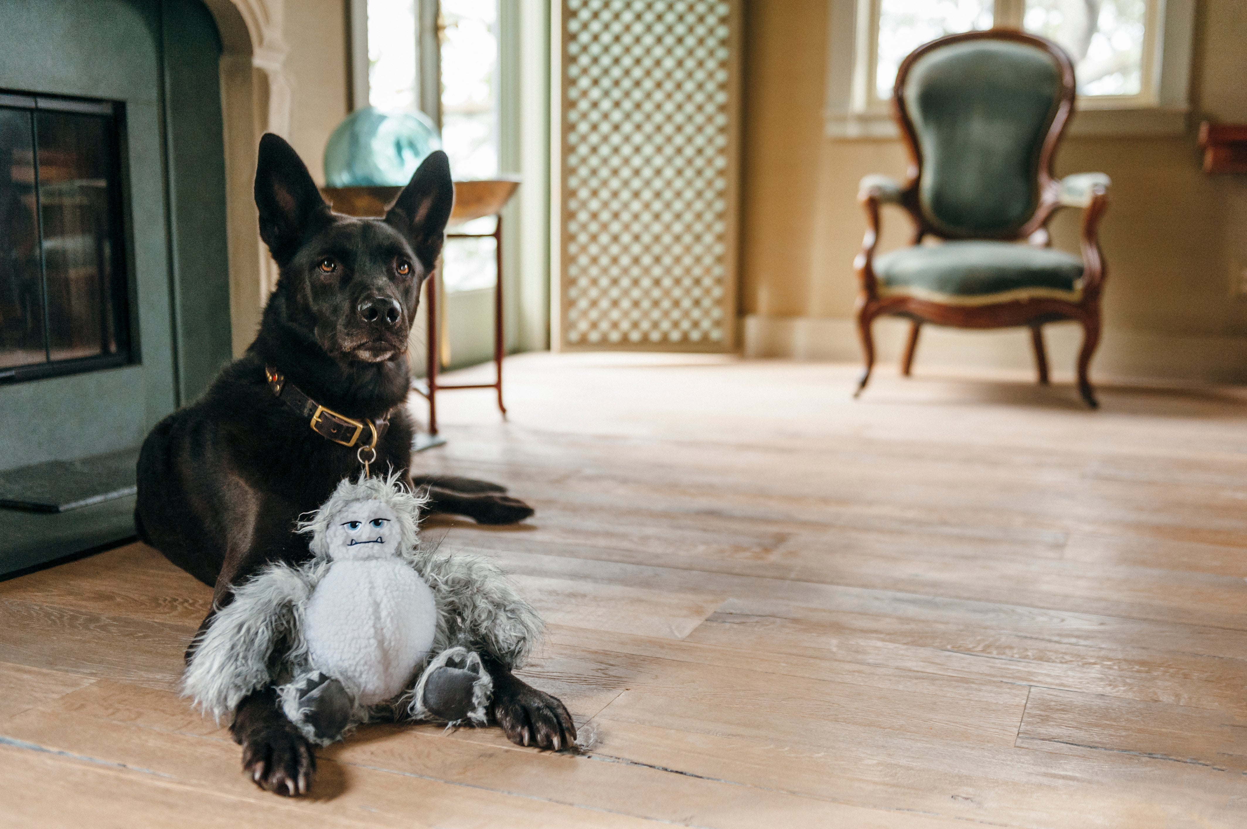 Willow's Mythical Creatures, Squeaky Plush Dog Toy