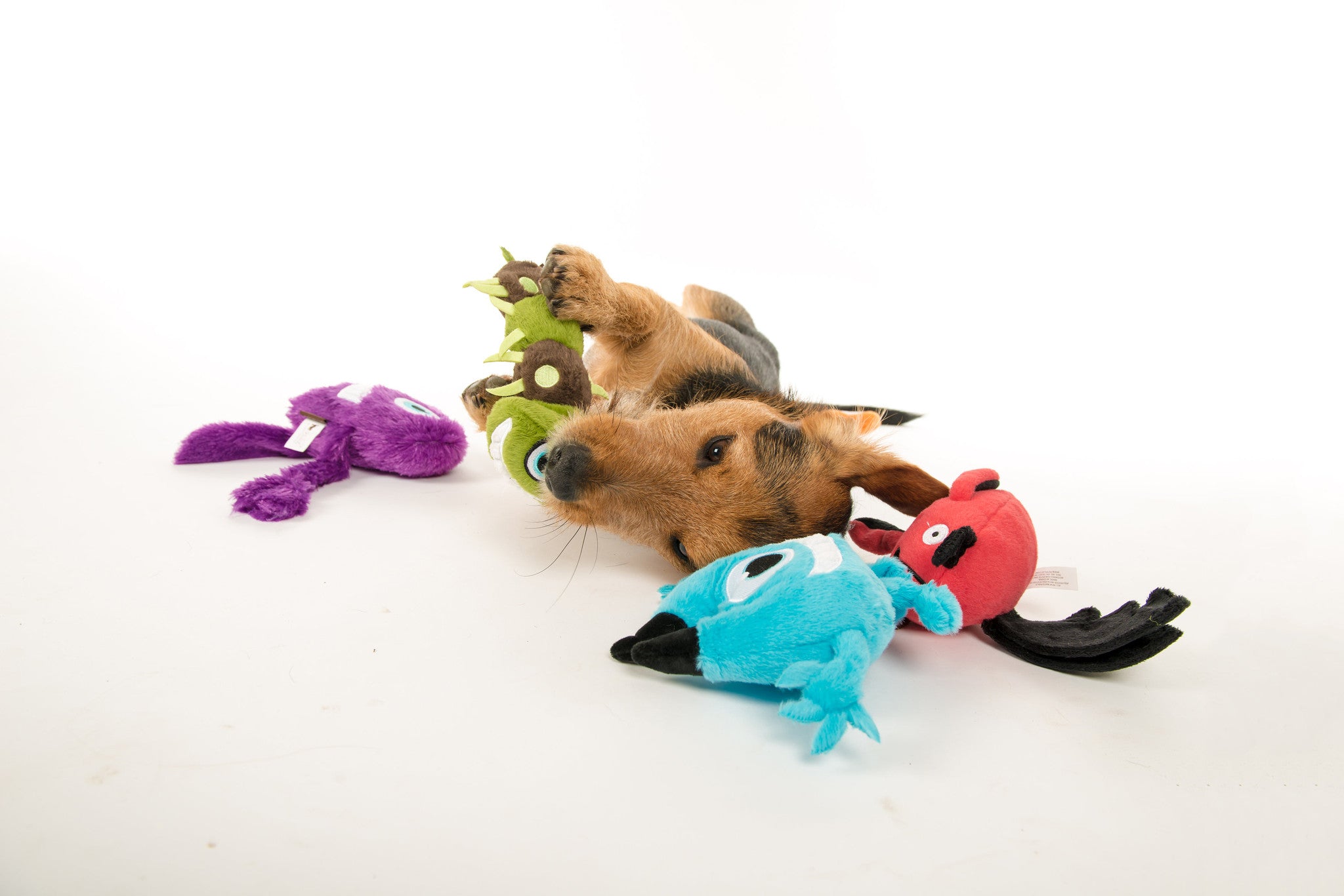 P.L.A.Y. Momo's Monsters Squeaky Plush Dog Toy, T-Pee