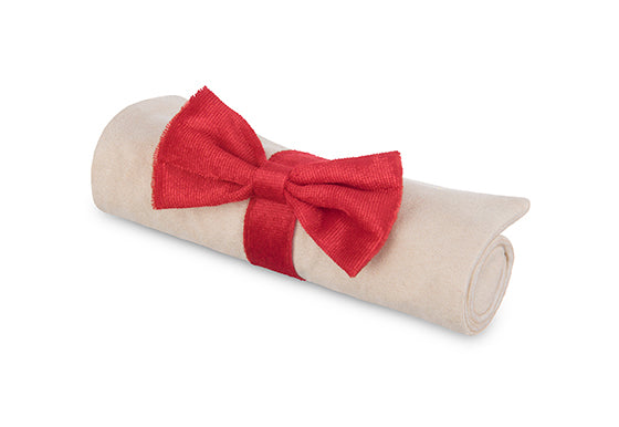 Back to School, Squeaky Plush Dog Toy