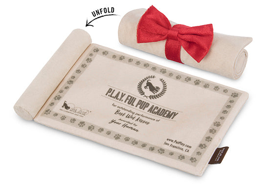 Back to School, Squeaky Plush Dog Toy