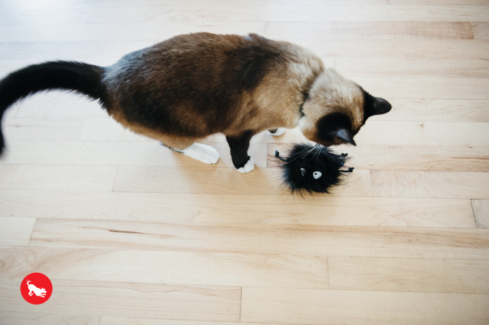 PLAY Feline Frenzy Catnip Toy Frisky Furball