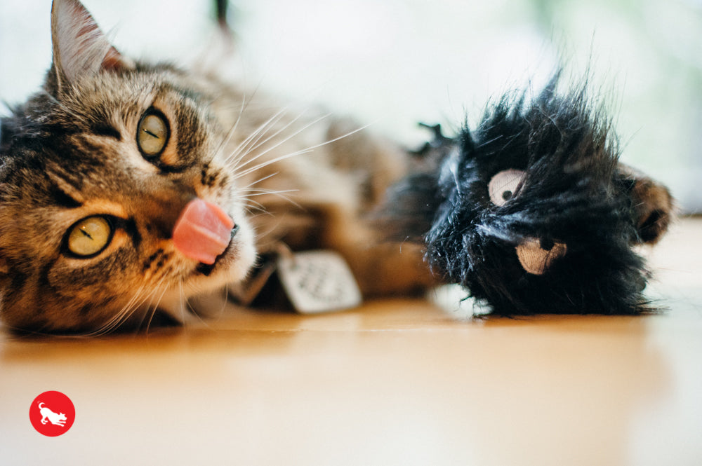 PLAY Feline Frenzy Catnip Toy Frisky Furball