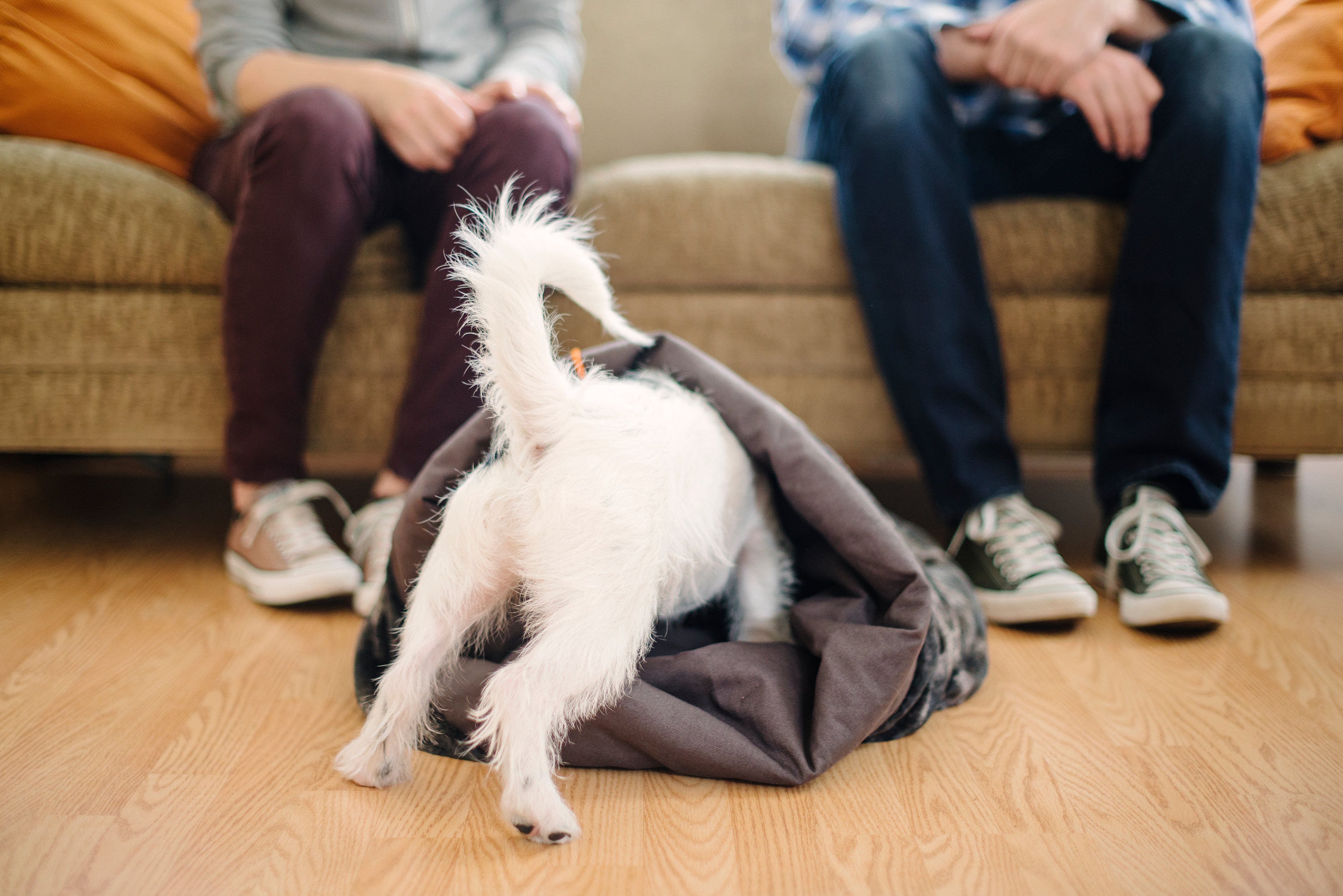 Snuggle Beds for Dogs and Cats Husky Grey