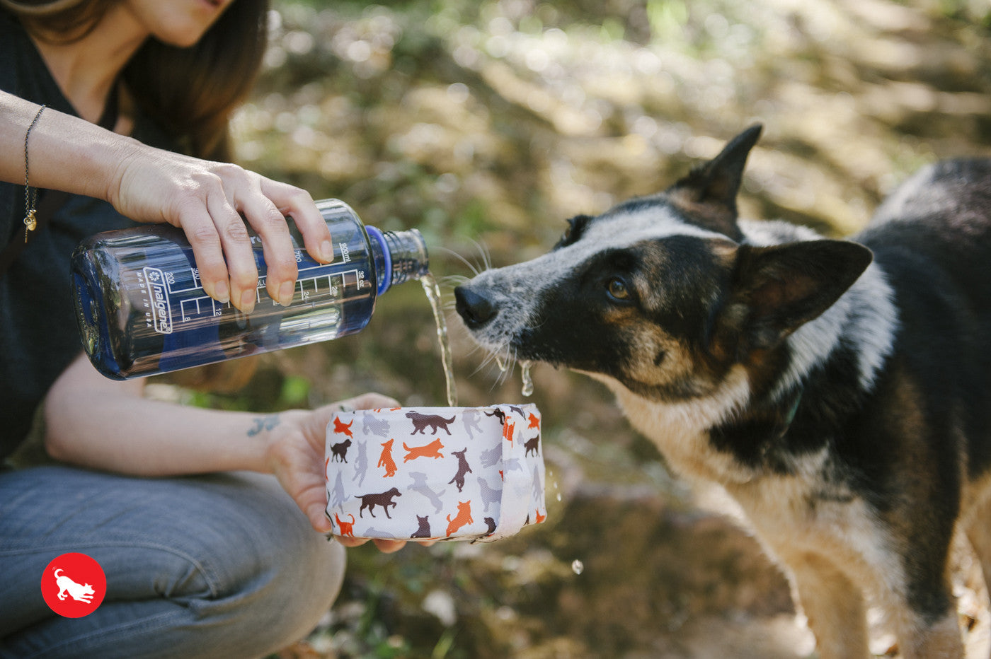 Travel bowl (FINAL SALE)