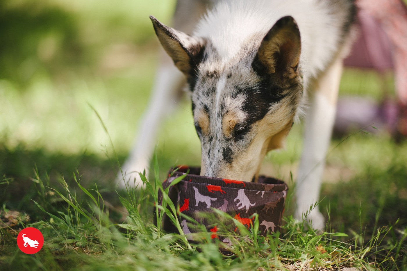 Travel bowl (FINAL SALE)