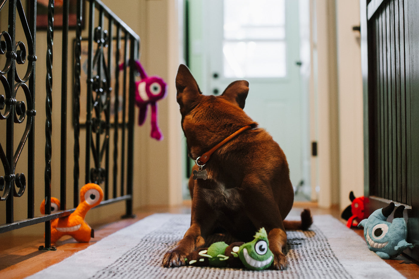 P.L.A.Y. Momo's Monsters Squeaky Plush Dog Toy, T-Pee