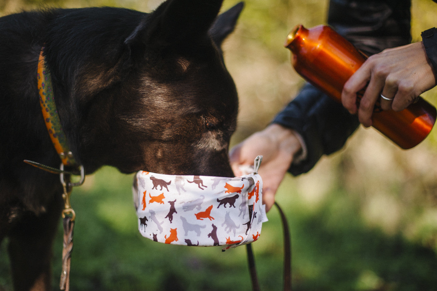 Travel bowl (FINAL SALE)