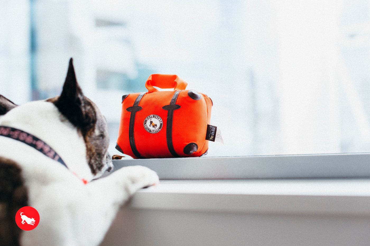 P.L.A.Y. Globetrotters, Squeaky Plush Dog Toy