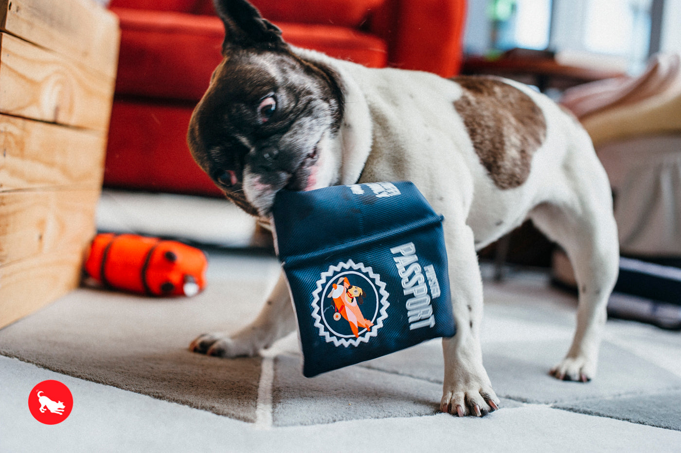 P.L.A.Y. Globetrotters, Squeaky Plush Dog Toy