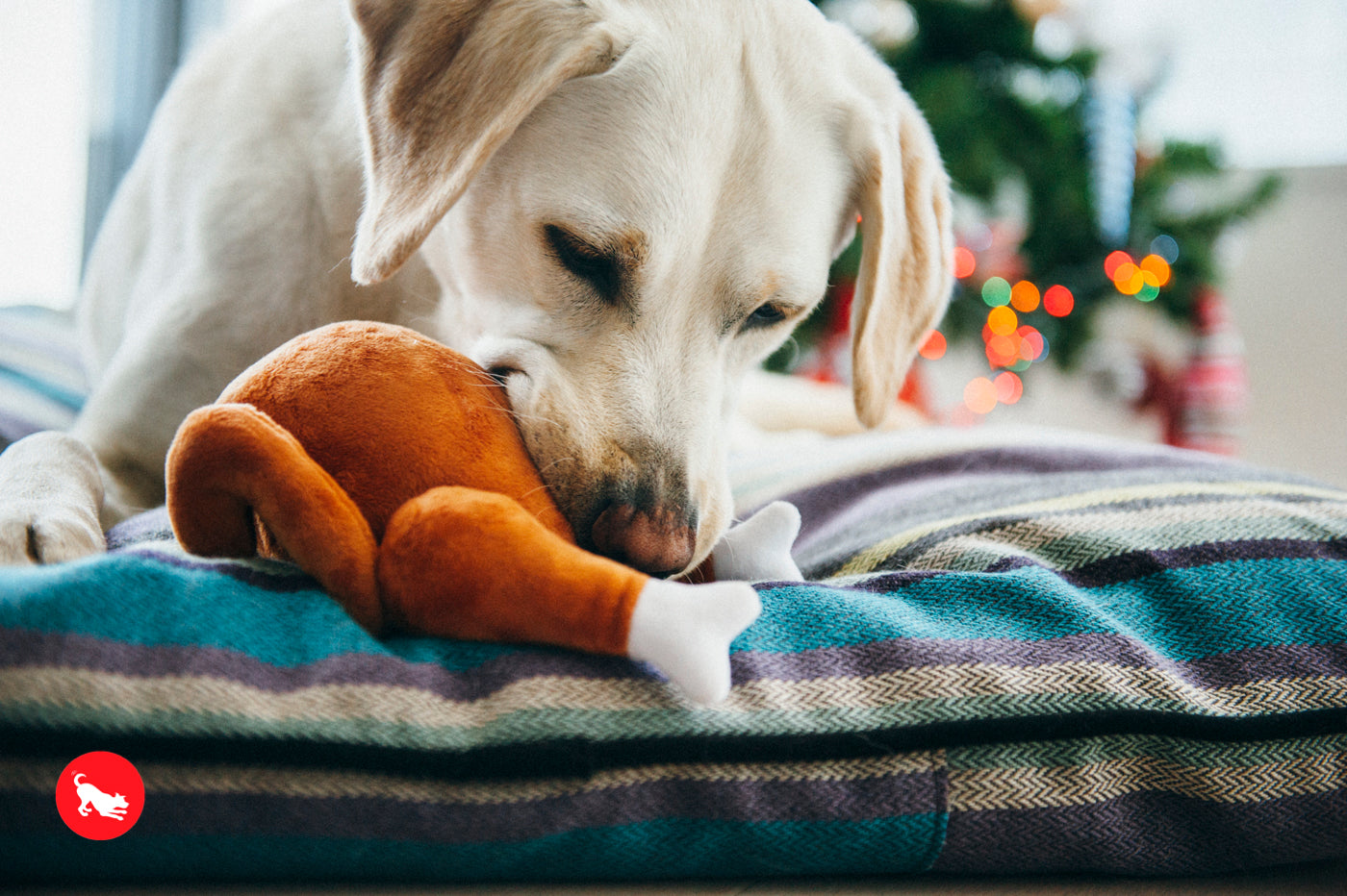 P.L.A.Y. Holiday Classic: Bundle