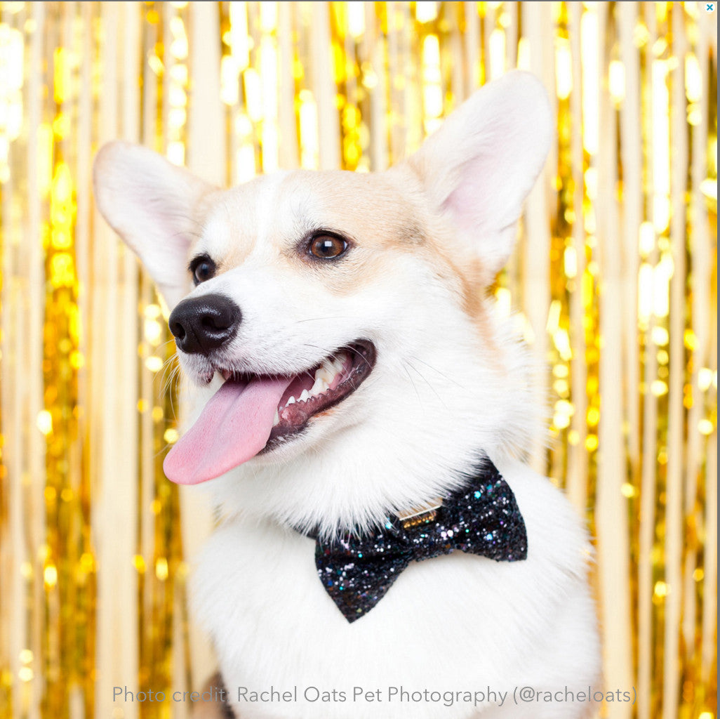 Bow tie: Glitter Midnight (FINAL SALE)