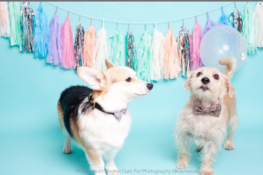 Bow tie: Glitter Midnight (FINAL SALE)