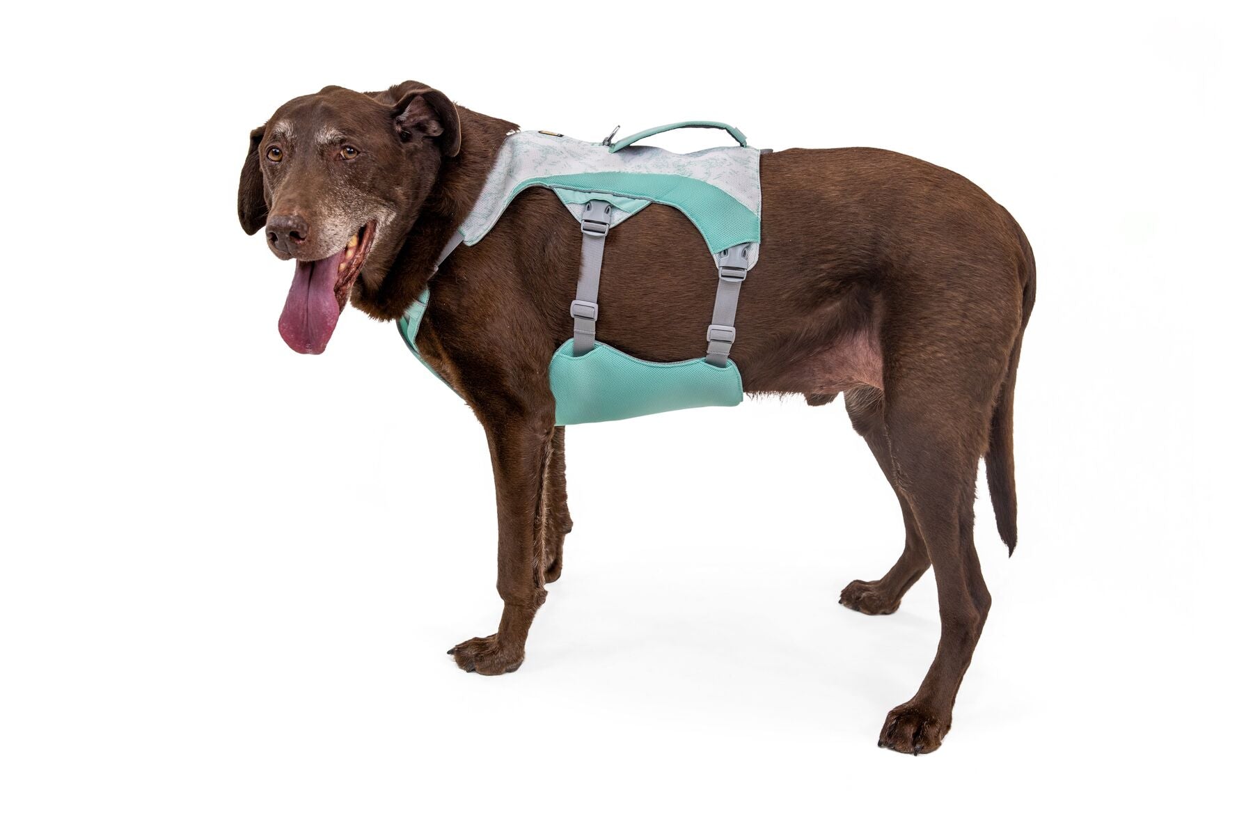 Ruffwear Dog Cooling Harness: Swamp Cooler