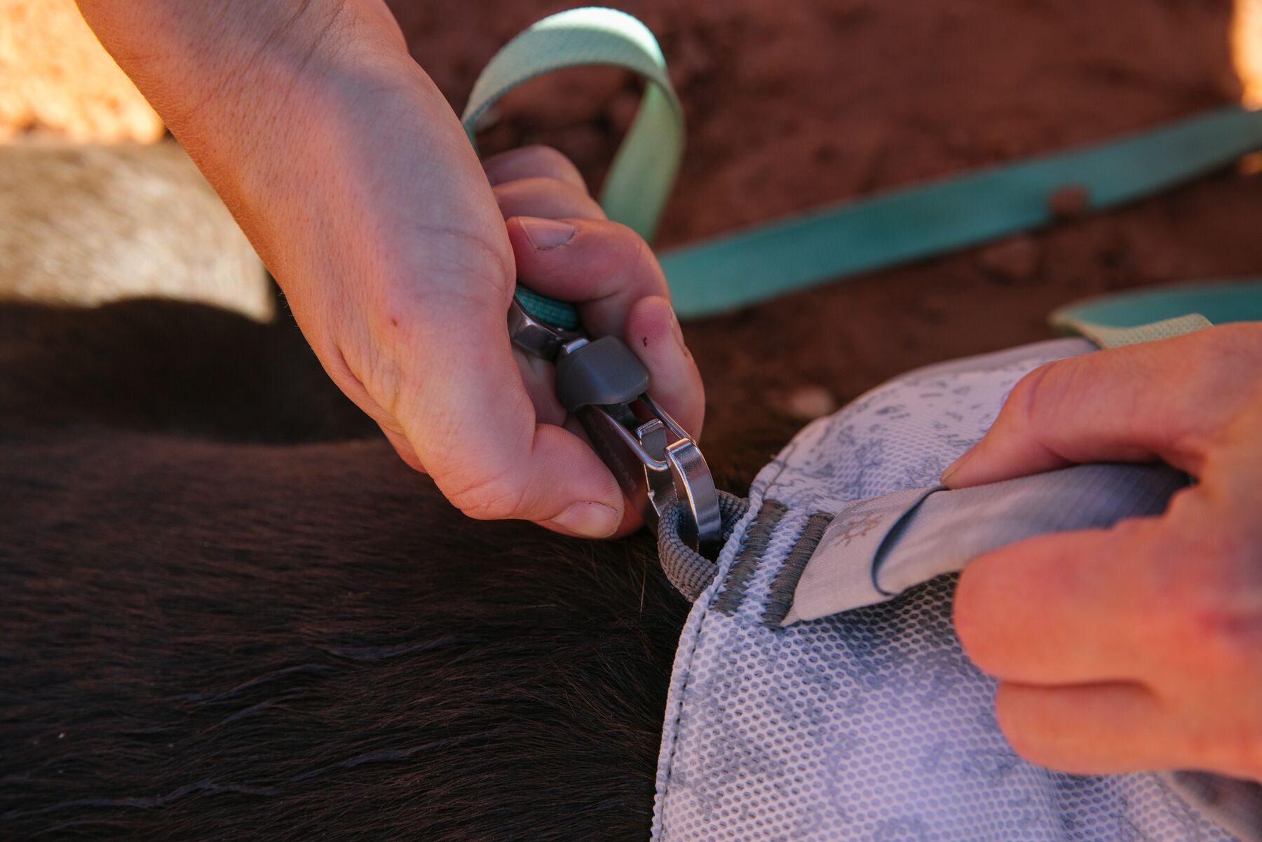 Ruffwear Dog Cooling Harness: Swamp Cooler