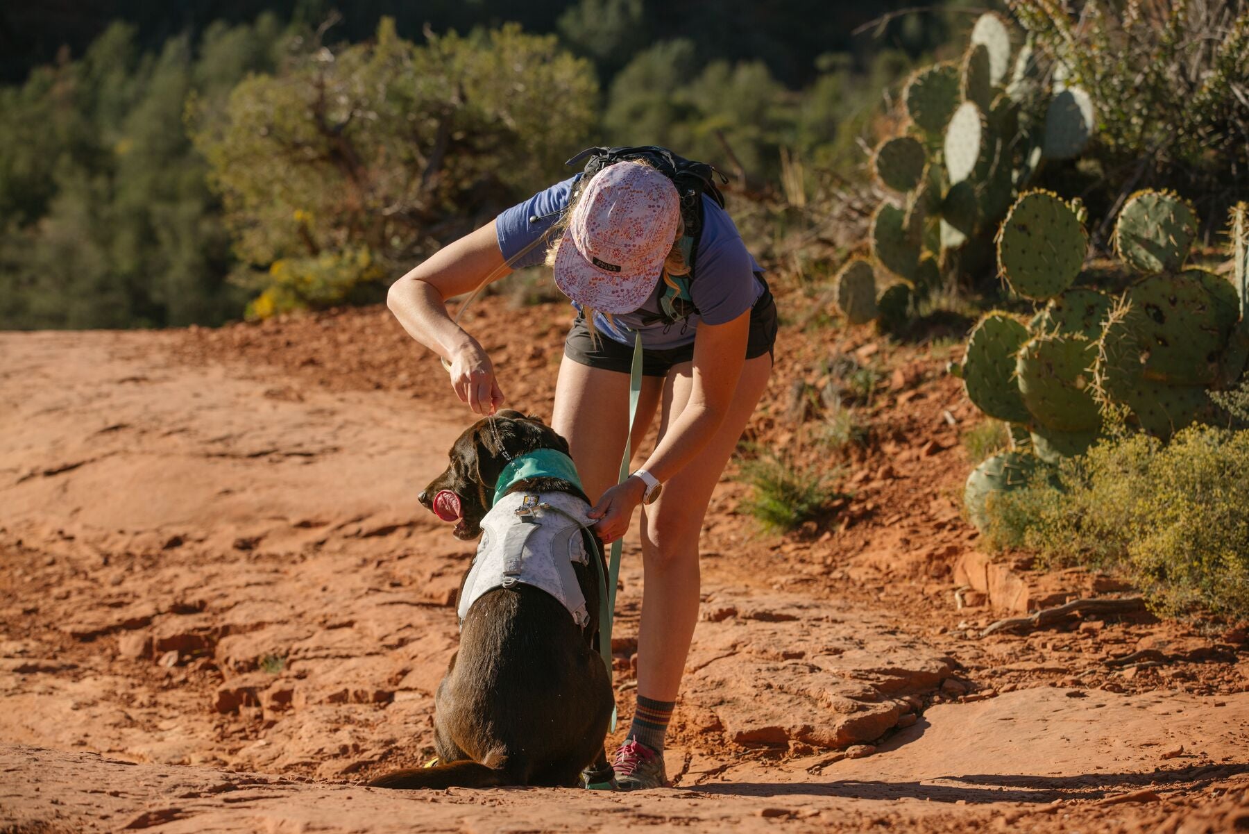 Ruffwear Dog Cooling Harness: Swamp Cooler