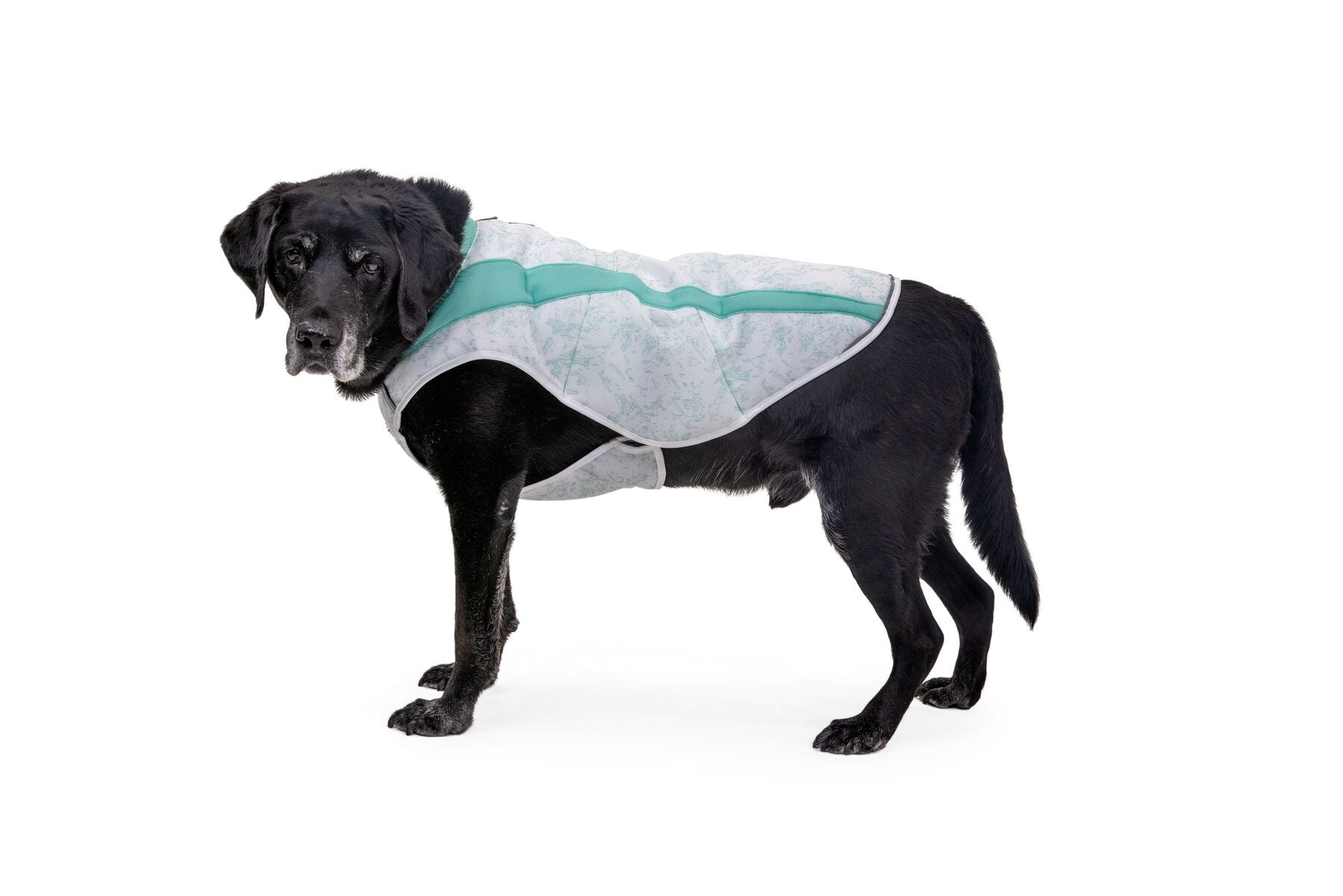 Ruffwear Cooling Dog Vest: Swamp Cooler