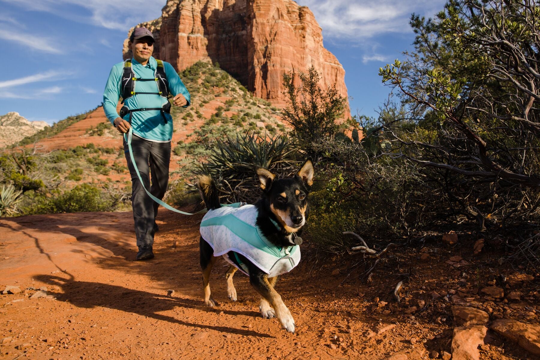 Ruffwear Cooling Dog Vest: Swamp Cooler