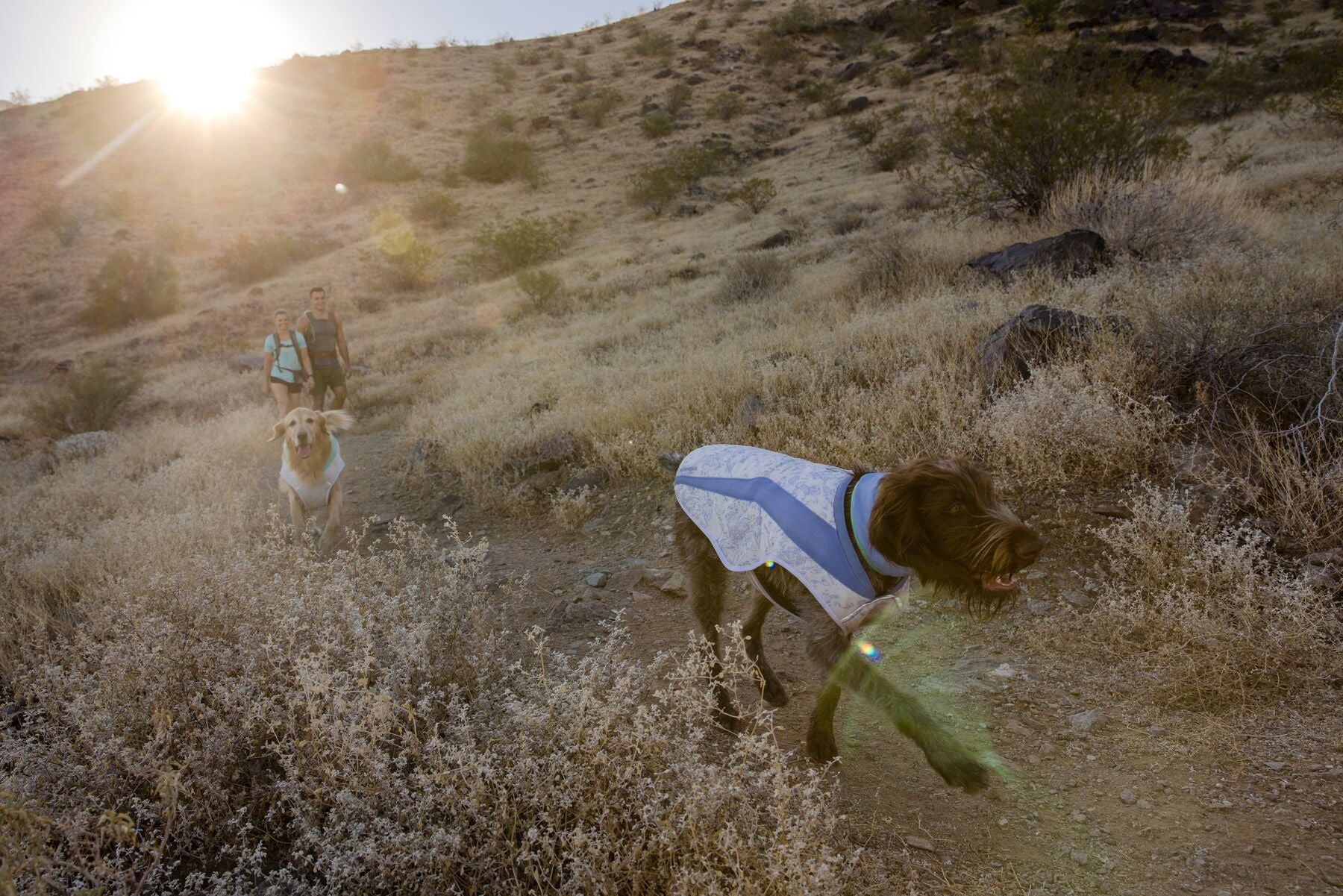 Ruffwear Cooling Dog Vest: Swamp Cooler