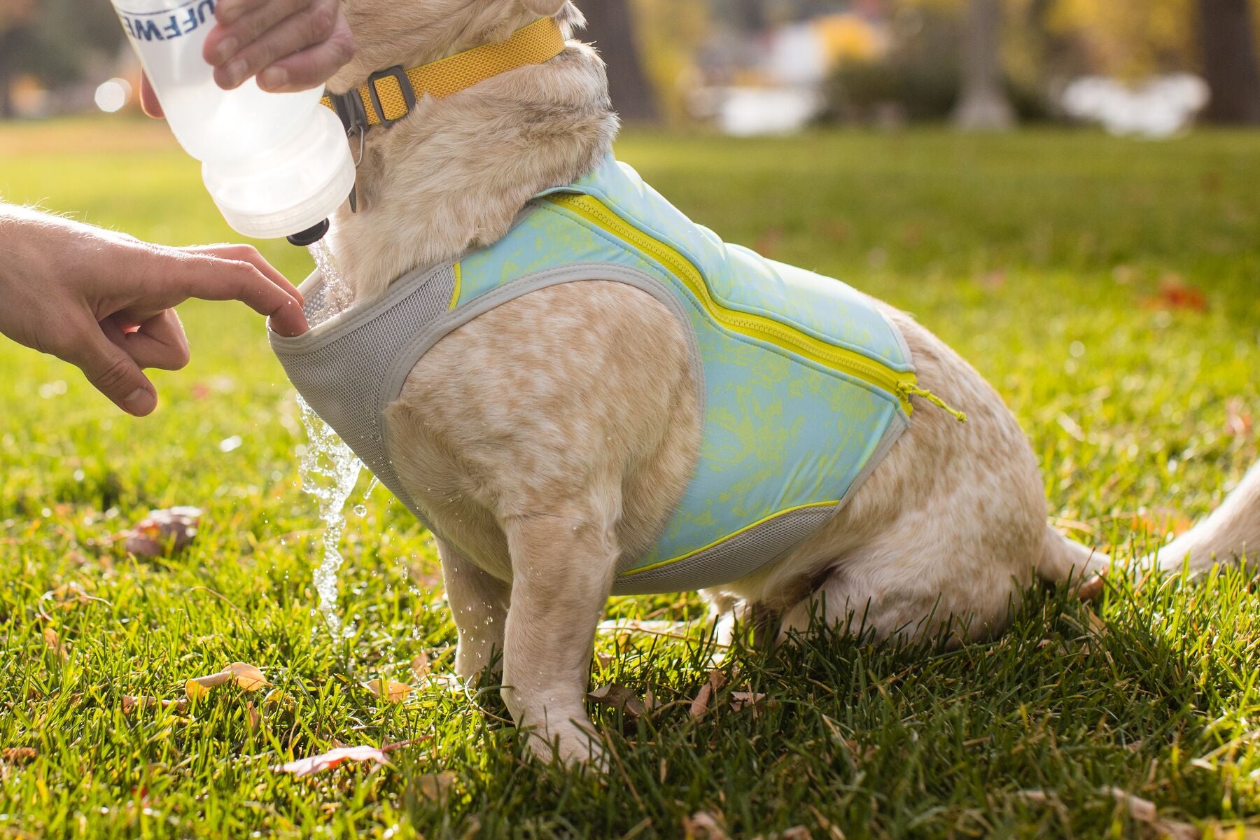 Ruffwear Cooling Dog Vest: Swamp Cooler Zip
