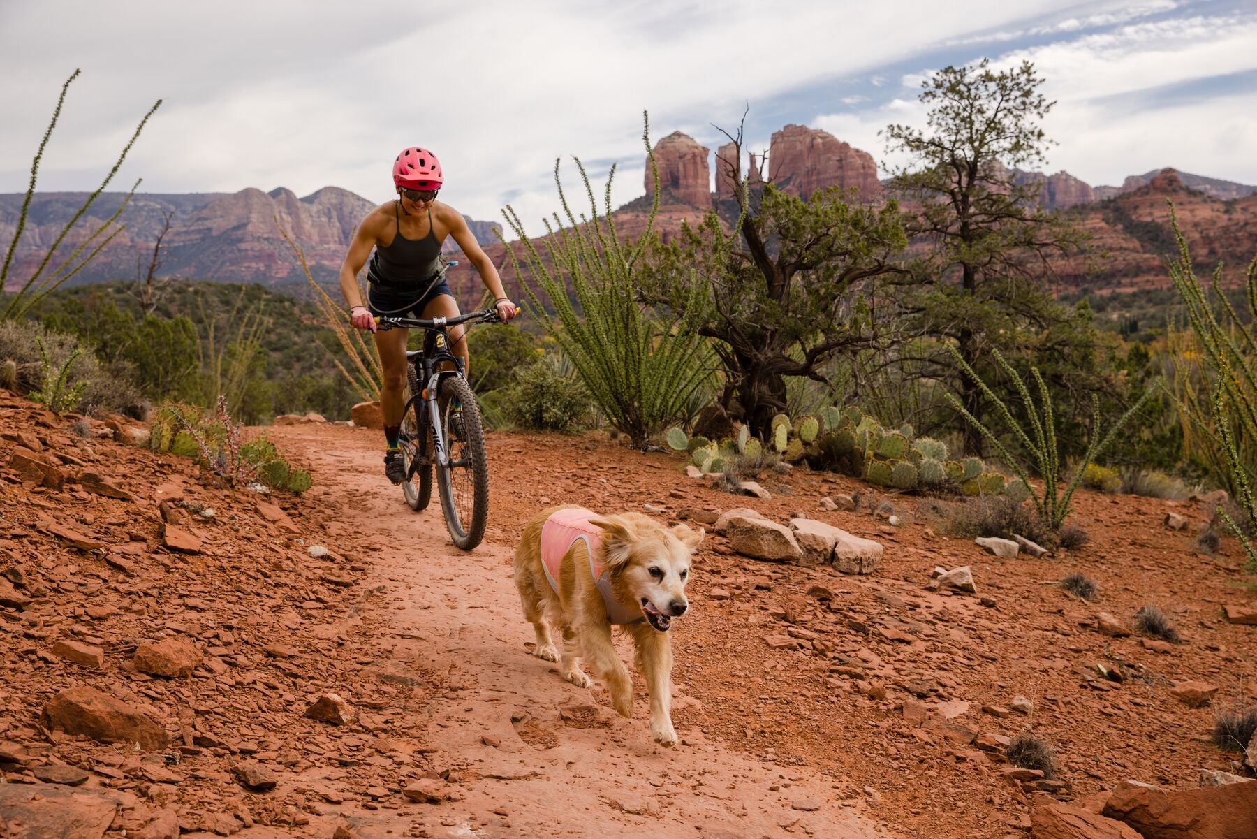 Ruffwear Cooling Dog Vest: Swamp Cooler Zip
