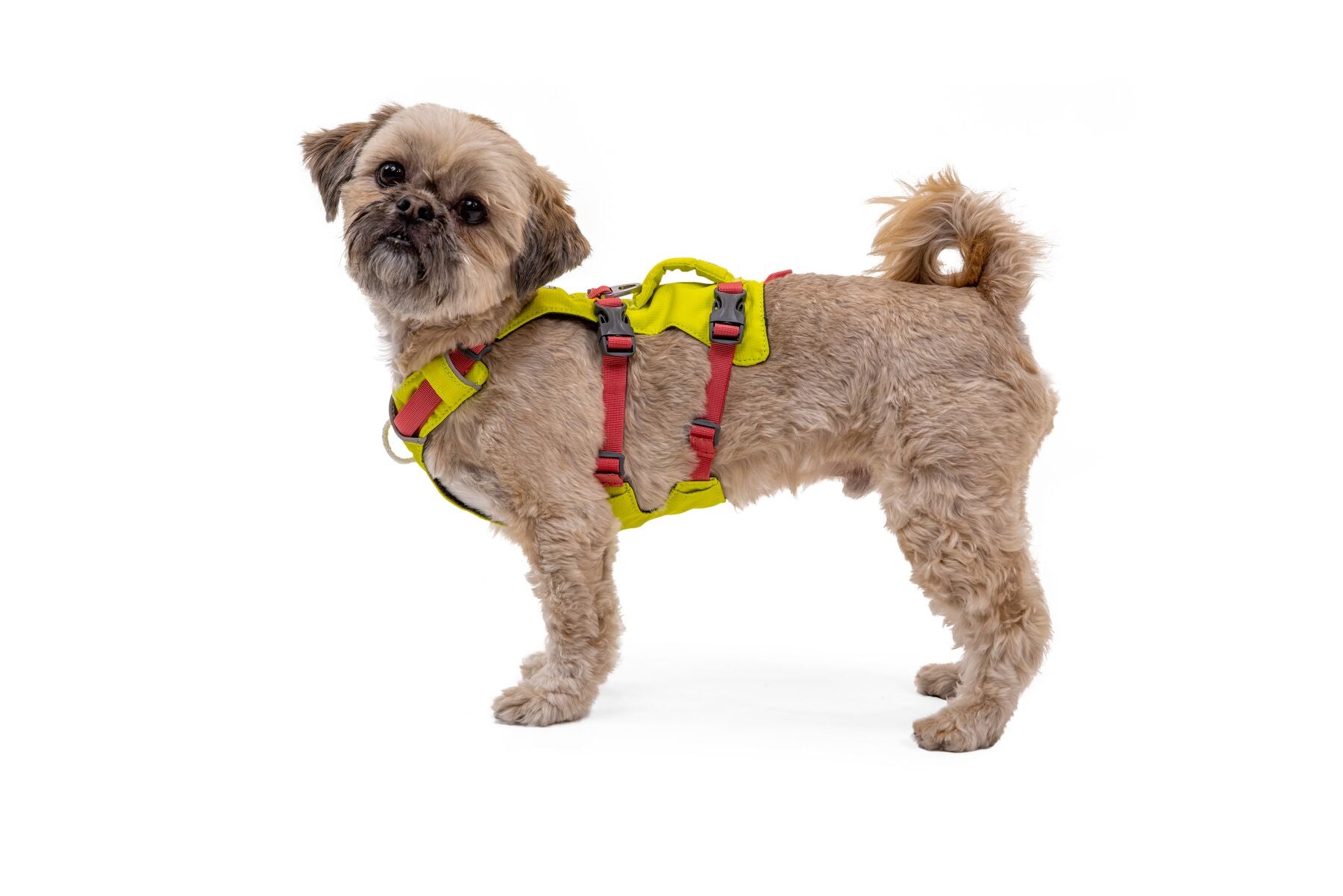 Ruffwear Dog Harness With Handle: Flagline