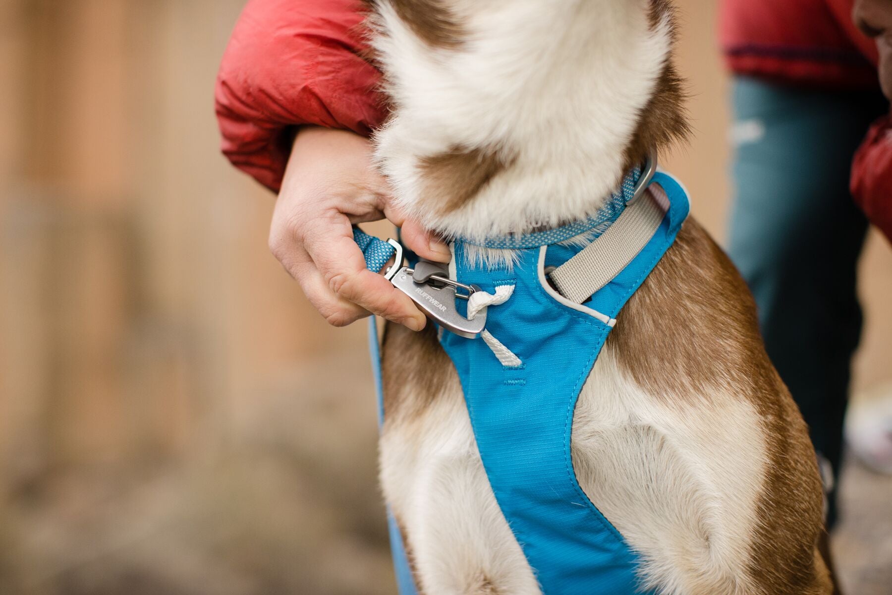 Ruffwear Dog Harness With Handle: Flagline