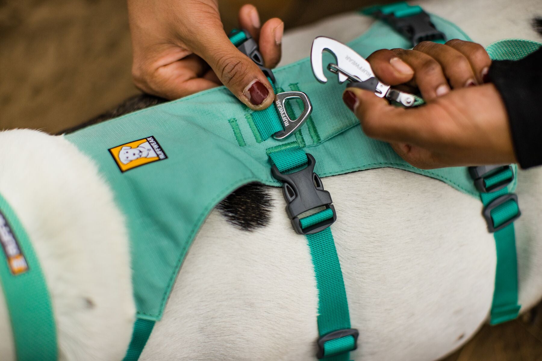 Ruffwear Dog Harness With Handle: Flagline