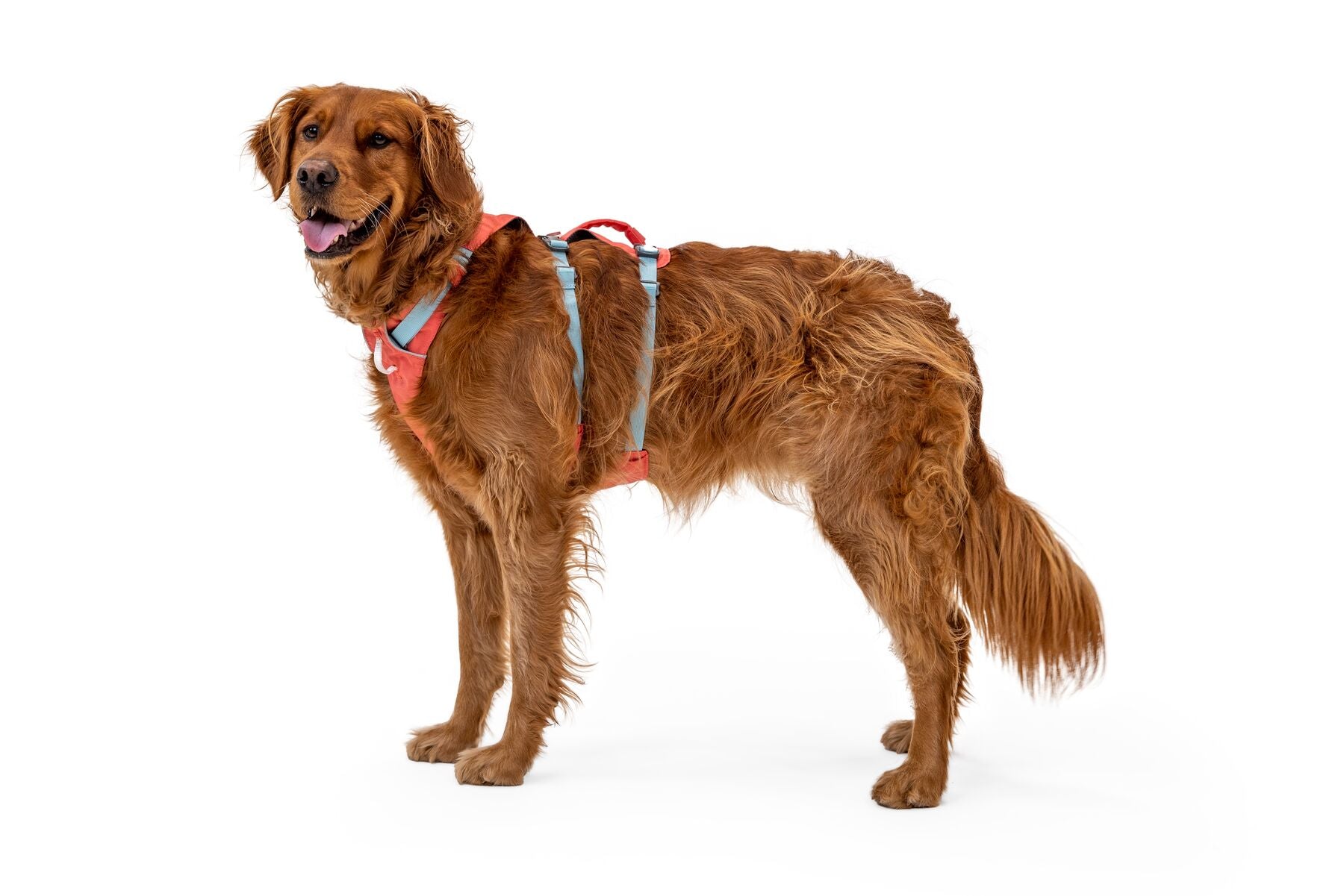 Ruffwear Dog Harness With Handle: Flagline