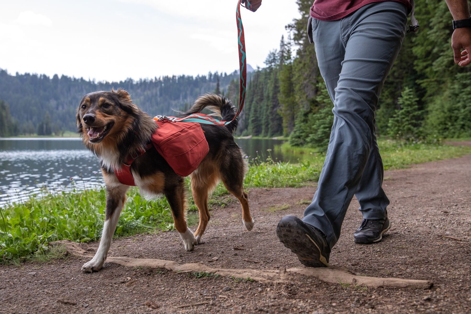 Ruffwear: Flat Out Adjustable Dog Leash