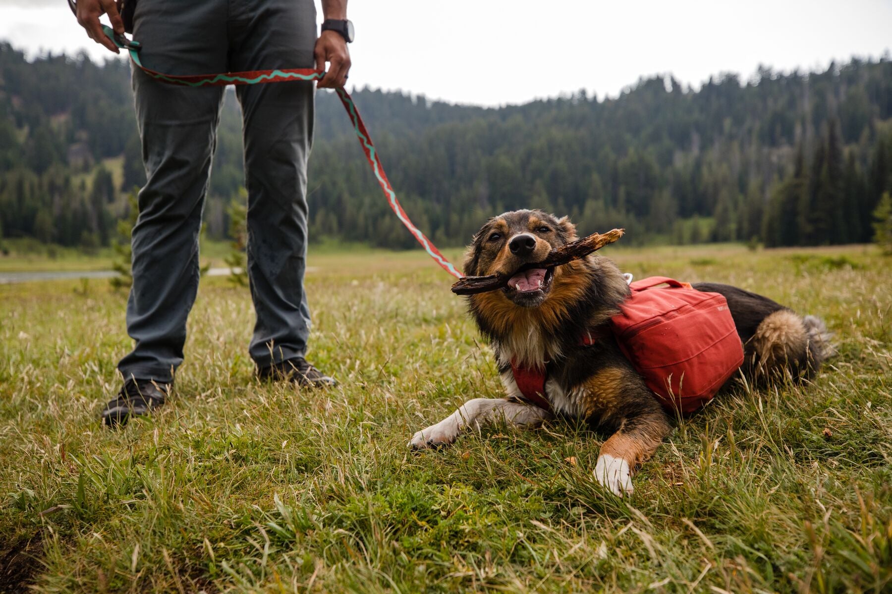 Ruffwear: Flat Out Adjustable Dog Leash