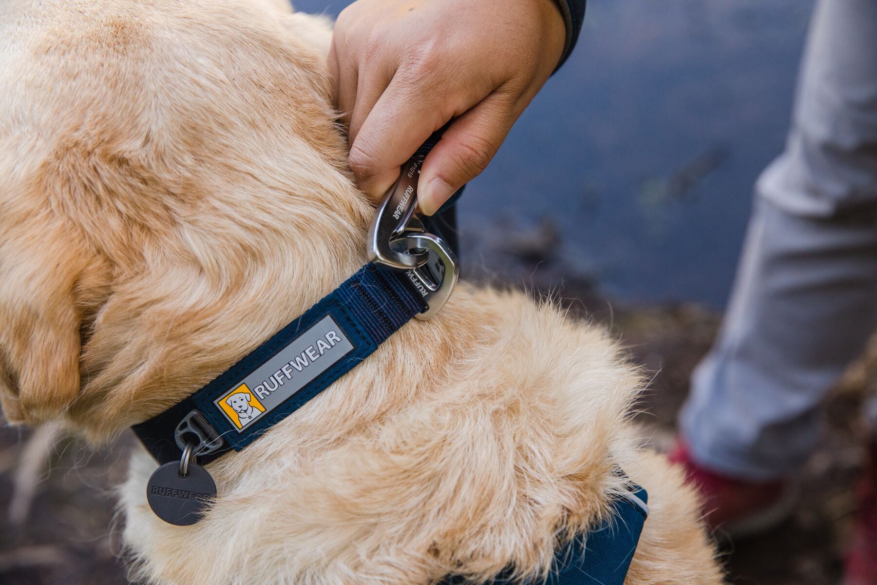 Ruffwear: Front Range Dog Collar