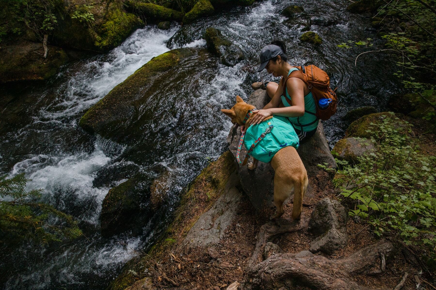 Ruffwear Front Range Dog Day Pack