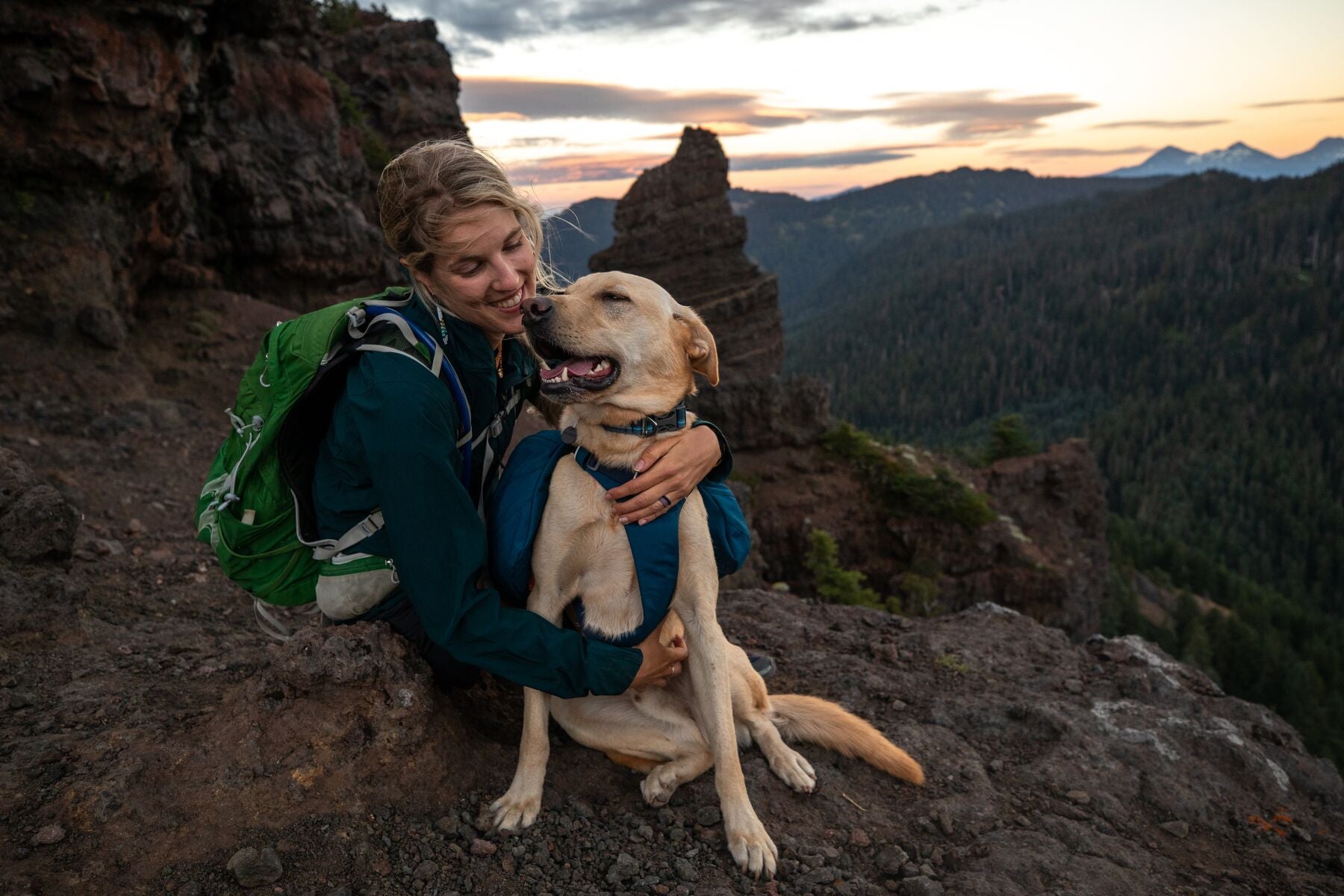 Ruffwear Front Range Dog Day Pack