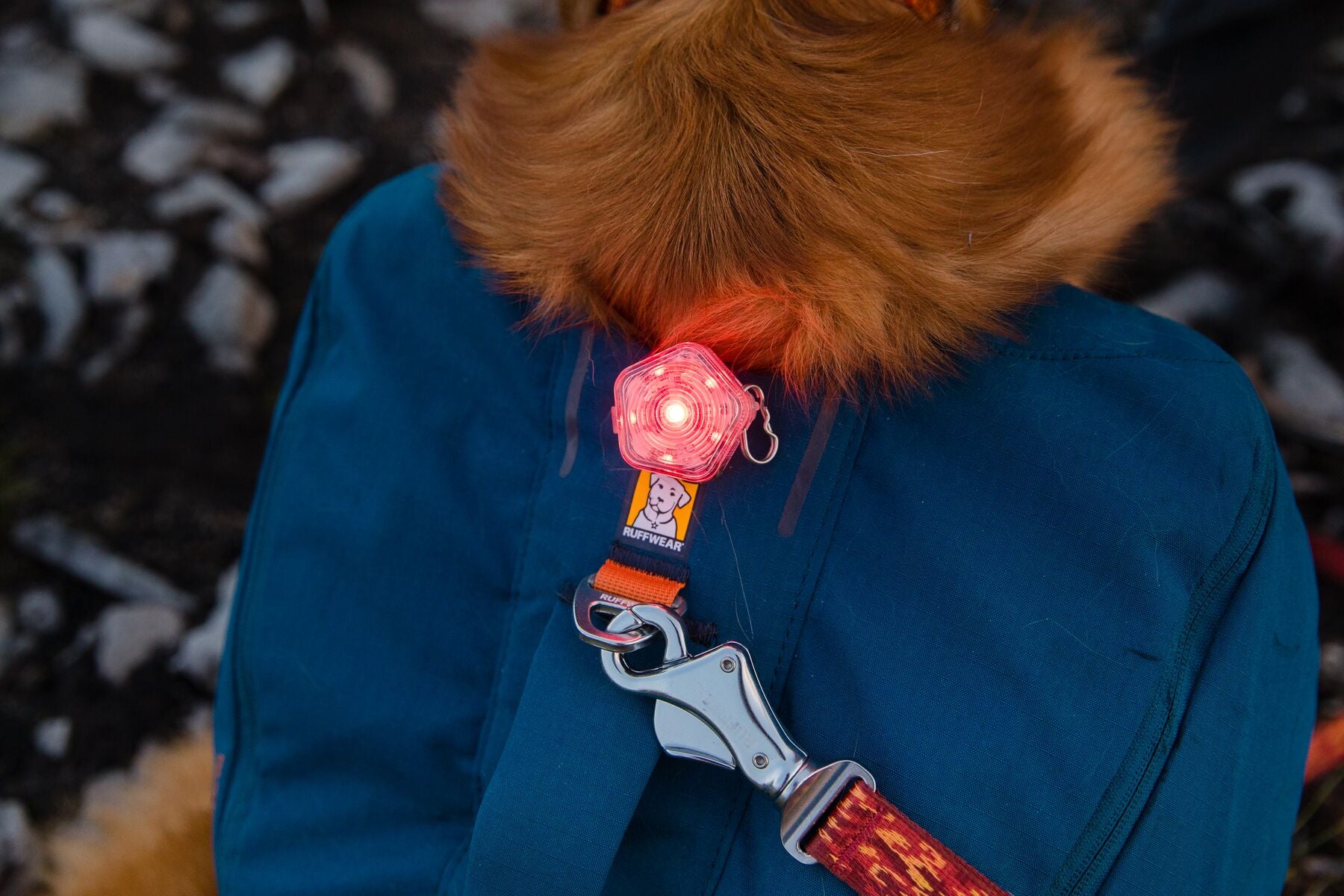 Ruffwear Front Range Dog Day Pack