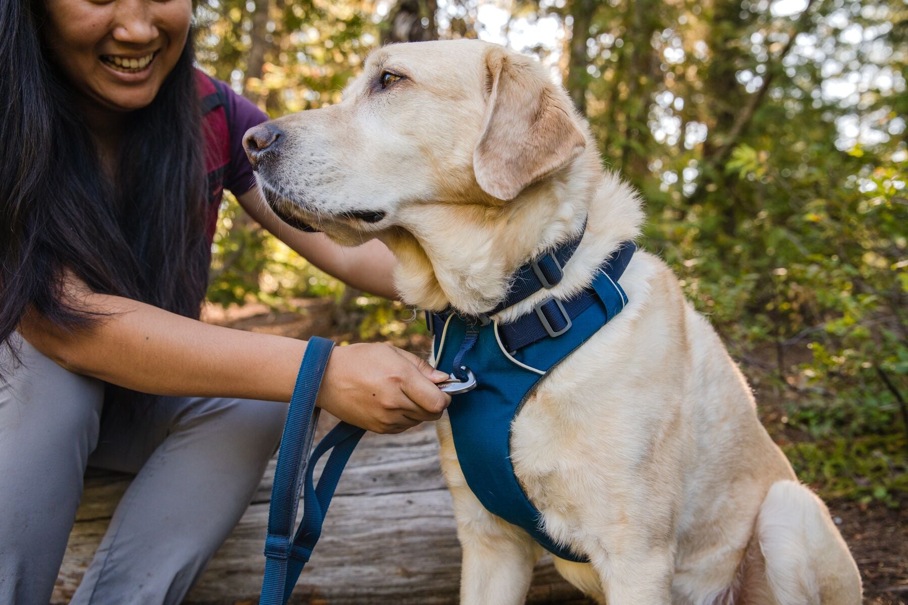 Ruffwear Dog Harness No-Pull: Front Range (FINAL SALE)