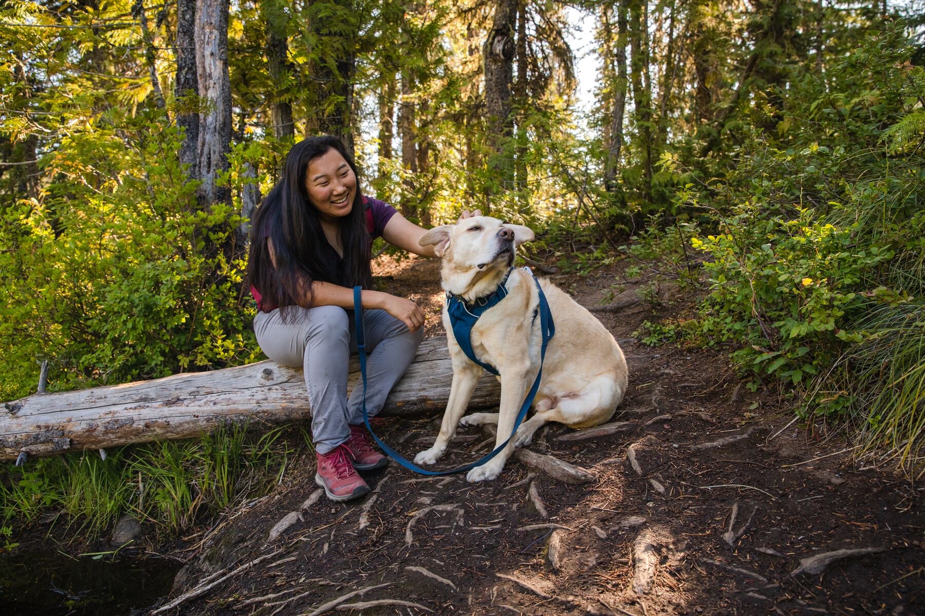 Ruffwear Dog Harness No-Pull: Front Range (FINAL SALE)