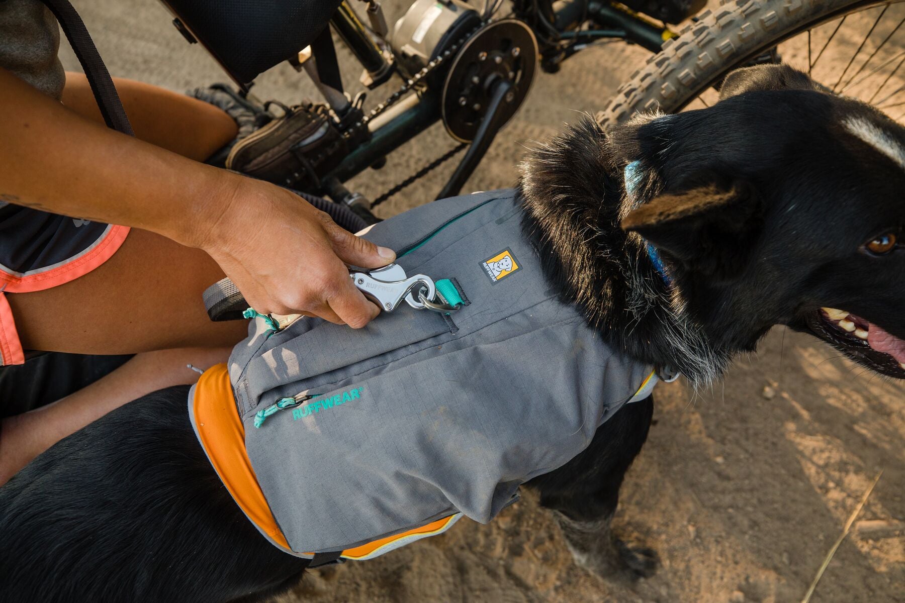 Ruffwear Dog Harness: Switchbak