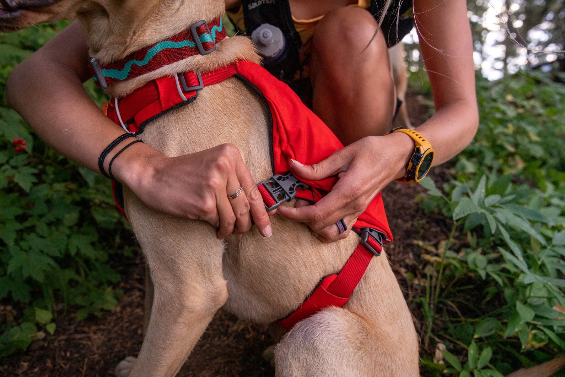 Ruffwear Dog Harness: Switchbak