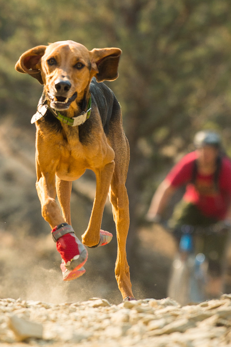Ruffwear Dog boots: Grip Trex PAIR