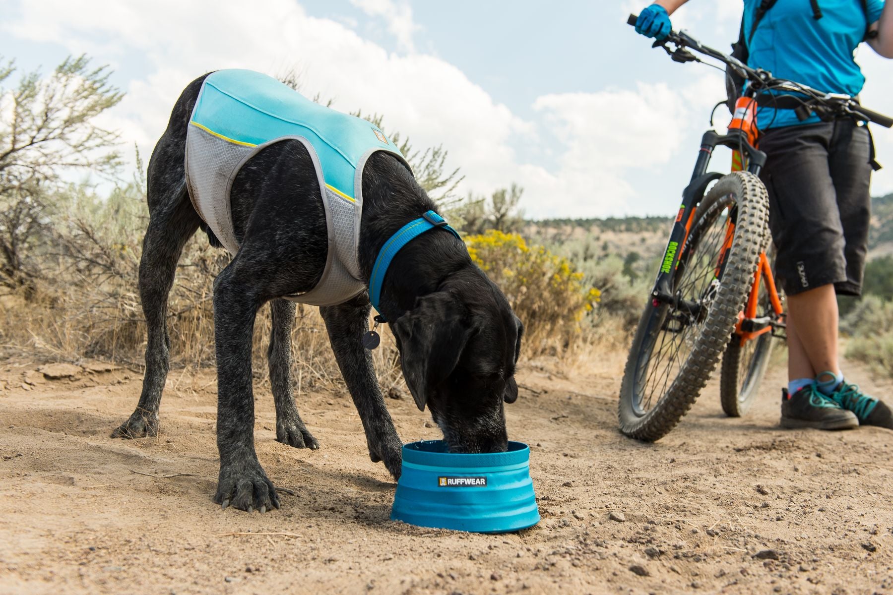 Ruffwear Dog Cooling Vest: Jetstream (FINAL SALE)