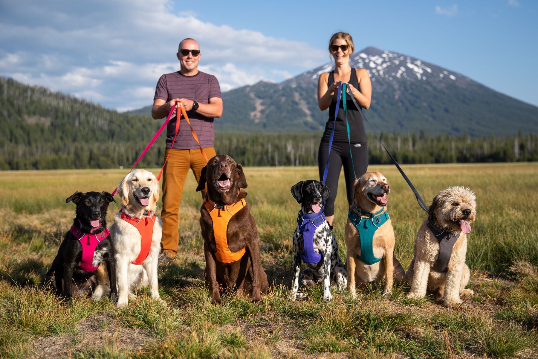 Ruffwear Dog Harness No-Pull: Front Range (FINAL SALE)
