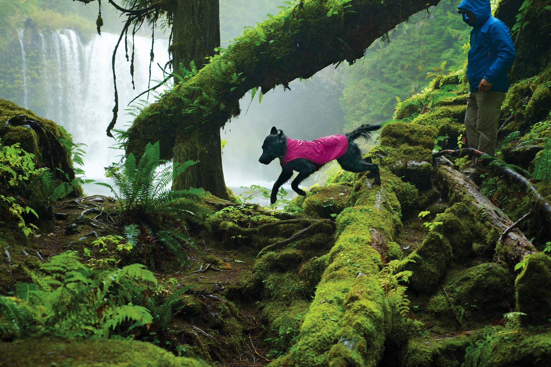 Ruffwear Rain Jacket Sun Shower Alpenglow Pink