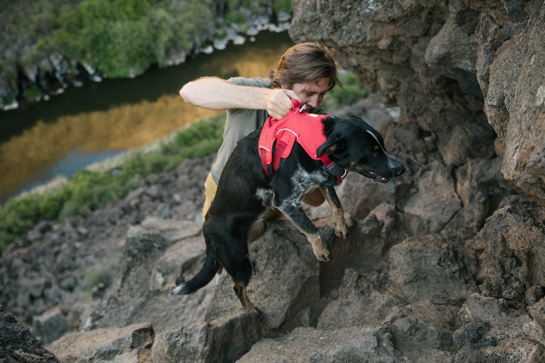 Ruffwear Dog Harness: Web Master