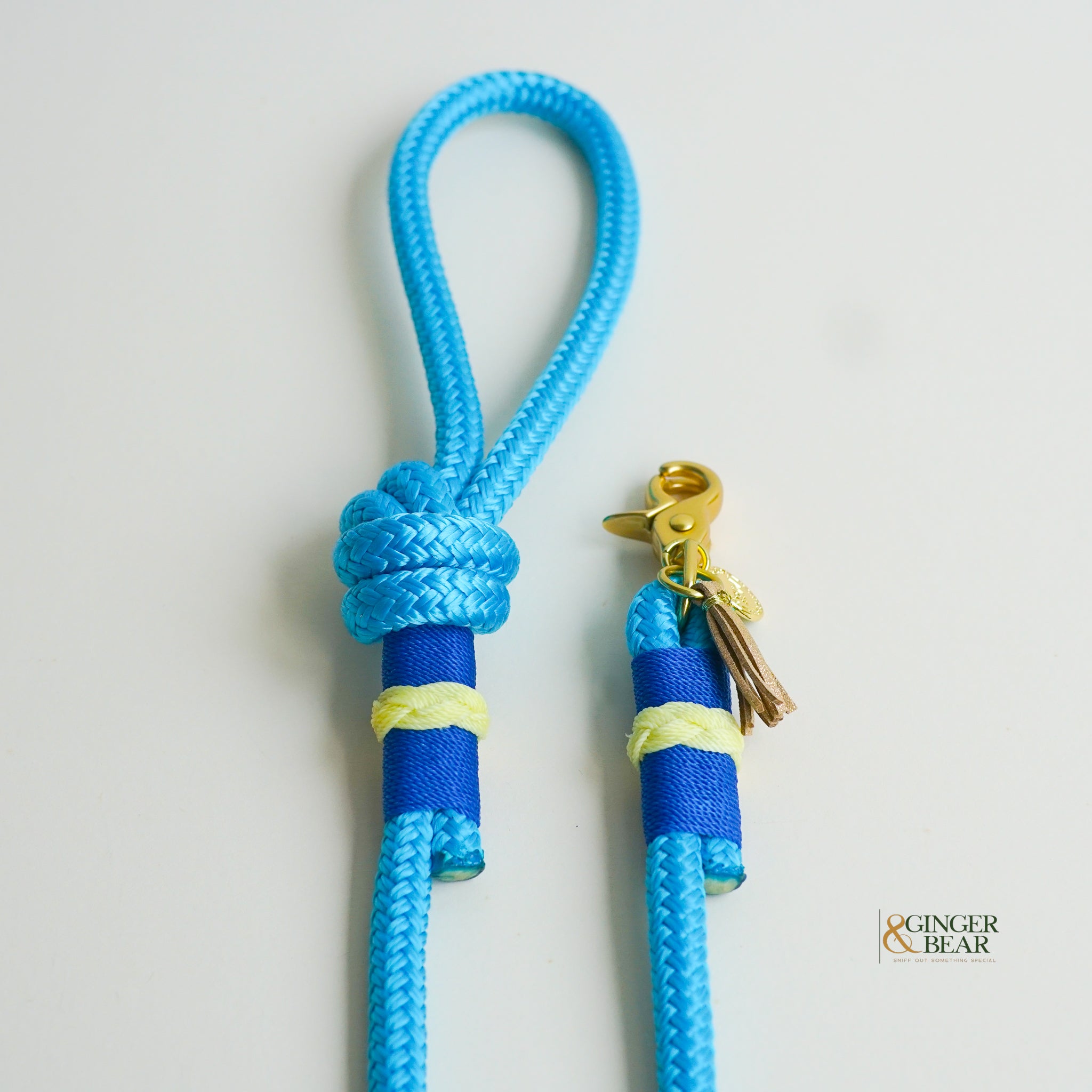 Rugged Hudson Dog Leash: Knotted Yellow on Light Blue rope