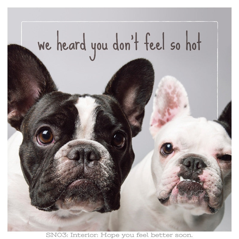 Get well soon: Lucy & Gus' Feel Better Soon