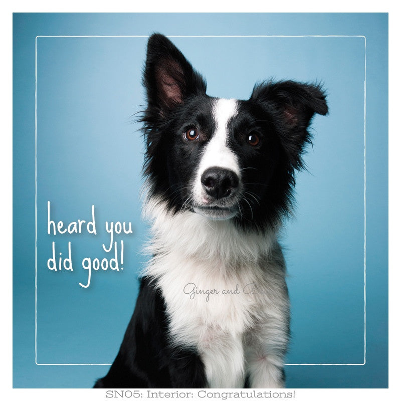 Congratulations: Stoke's Heard You Did Good Congratulations